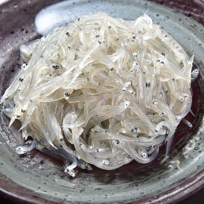 国産!添加物不使用!豊後別府湾ちりめん・しらす 3色セット