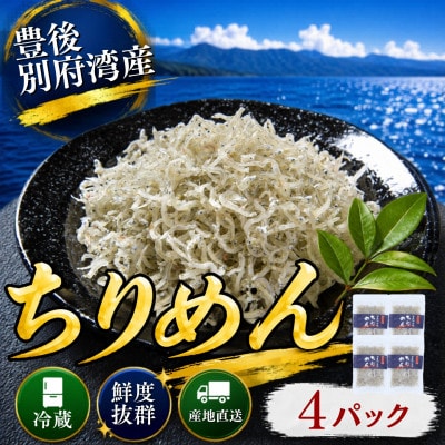 豊後別府湾ちりめん 使い切りセット 4袋 国産 添加物不使用