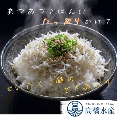 豊後別府湾ちりめん 使い切りセット 4袋 国産 添加物不使用