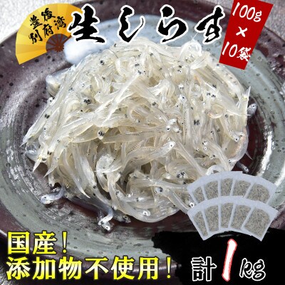 国産!添加物不使用!豊後別府湾　生しらす10袋セット 　計1kg