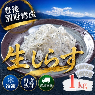 豊後別府湾 生しらす10袋セット 計1kg 国産 添加物不使用