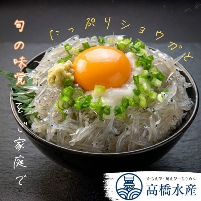 豊後別府湾 生しらす10袋セット 計1kg 国産 添加物不使用