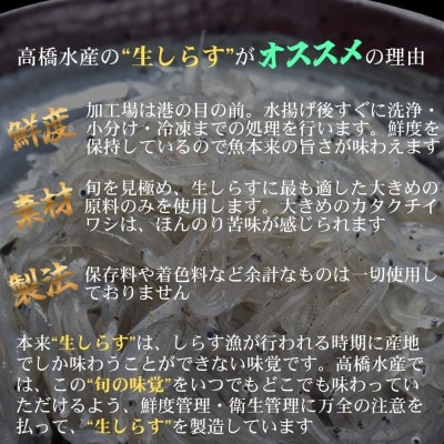 豊後別府湾 生しらす10袋セット 計1kg 国産 添加物不使用