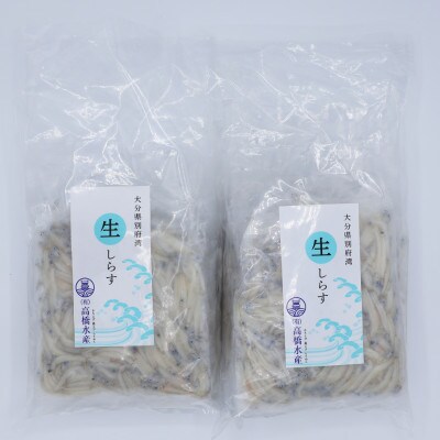 国産!添加物不使用!豊後別府湾　生しらす10袋セット 　計1kg