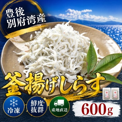 豊後別府湾釜揚げしらすセット 600g 国産 添加物不使用