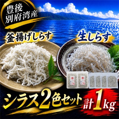 豊後別府湾産しらす食べ比べセット 計1kg 国産 添加物不使用