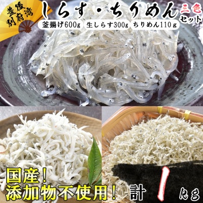 国産!添加物不使用!豊後別府湾ちりめん・しらす 3色 計1kg セット