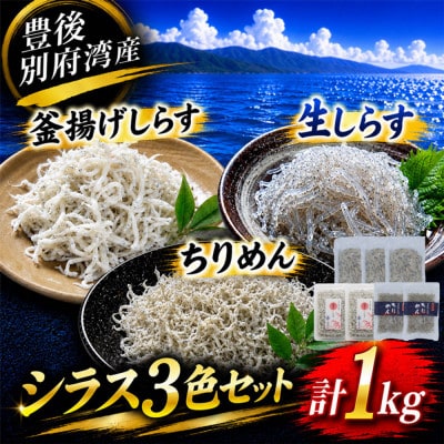豊後別府湾ちりめん・しらす 3色セット 計1kg 国産 添加物不使用