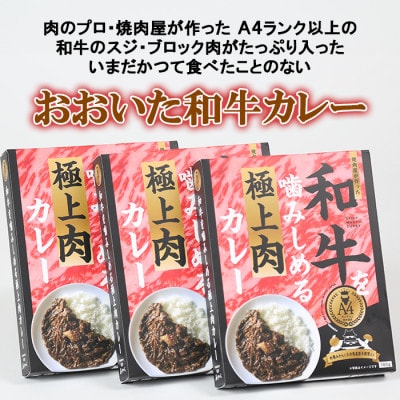 杵築産おおいた和牛カレー3食セット(レトルト)