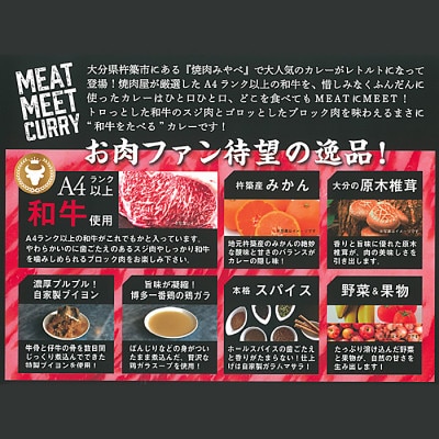 杵築産おおいた和牛カレー3食セット(レトルト)
