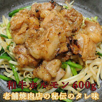 和牛ホルモン600g ～焼肉みやべ秘伝のタレ味～ ※真空パック
