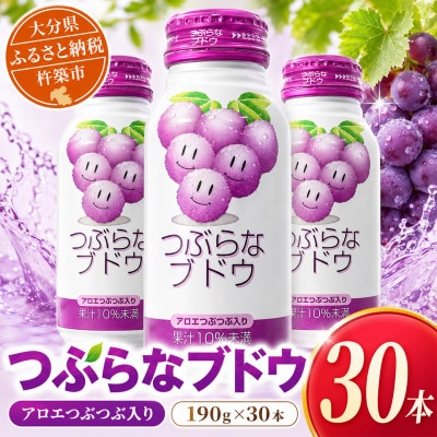 つぶらなブドウ　190g×30本