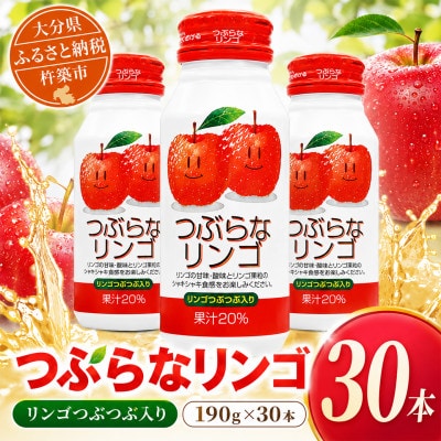 つぶらなリンゴ　190g×30本