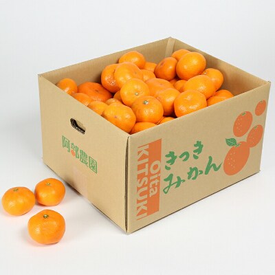 【先行受付】【数量限定】阿部農園の青島 約10kg