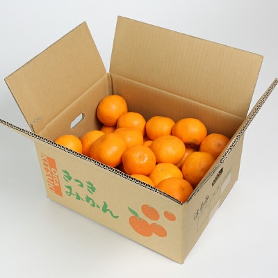 【先行受付】【数量限定】阿部農園のはるみ 約6kg