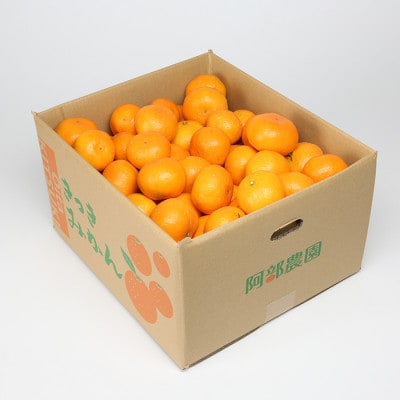 [訳あり品]阿部農園の田口早生 約10kg