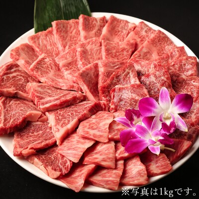 匠牧場のおおいた和牛希少部位4種焼肉セット1.6kg(800g×2箱)