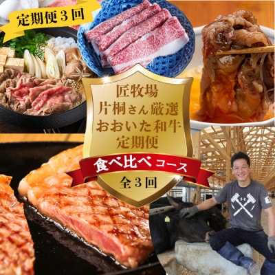 【発送月固定定期便】片桐さん厳選　おおいた和牛食べ比べ定期便全3回