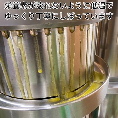 エゴマオイル(EGOMA OIL) 100g×3本セット 低温直圧搾油法 大分県産