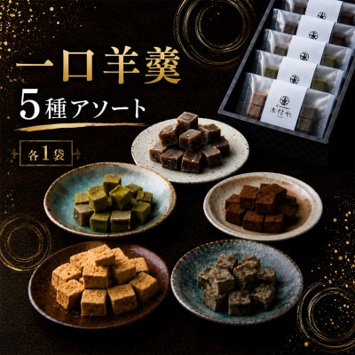 一口羊羹(アソート)5種各1袋セット
