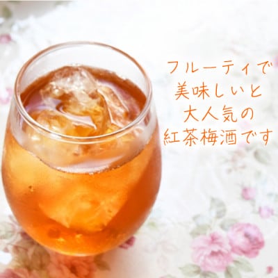 ちえびじん紅茶梅酒(杵築産べにふうき茶葉使用)720ml×2本セット