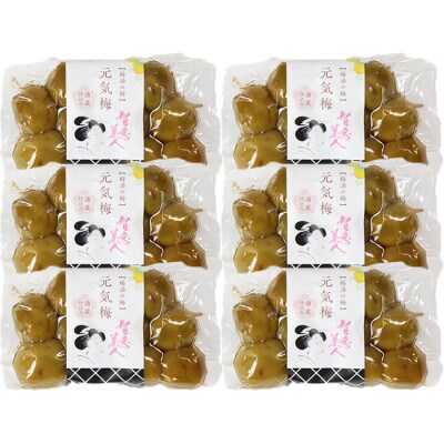 智恵美人 元気梅 (梅酒の梅) 300g×6袋セット