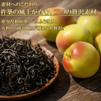 ちえびじん紅茶梅酒(杵築産べにふうき茶葉使用)1800ml×2本セット