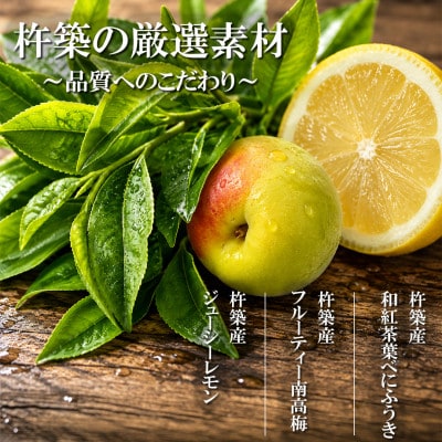 ちえびじん紅茶梅酒+ちえびじんレモンティーセット 1800ml 各1本
