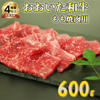 おおいた和牛もも焼肉用 600g(杵築市)