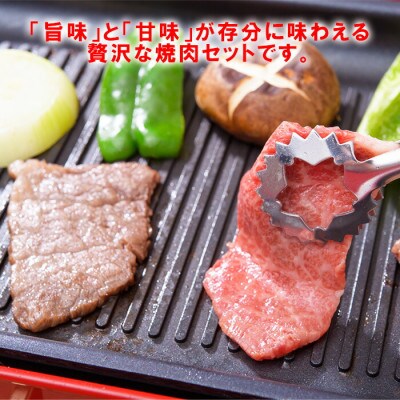 おおいた和牛もも焼肉用 600g(杵築市)