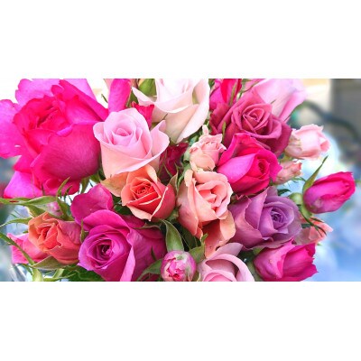 『天使のバラ』薔薇だけのミニ丈ブーケ(ピンク系)Lサイズ