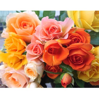 『天使のバラ』薔薇だけのミニ丈ブーケ(黄オレンジ系)Lサイズ