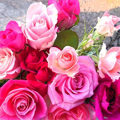 『天使のバラ』薔薇だけのミニ丈ブーケ(ピンク系)Sサイズ