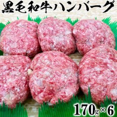ニード牧場の黒毛和牛 ハンバーグ(170g×6)(杵築市)