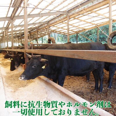 ニード牧場のおおいた和牛 ローストビーフ(200g×2)(杵築市)