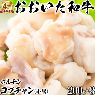 ニード牧場のおおいた和牛 ホルモン 小腸(200g×3)(杵築市)