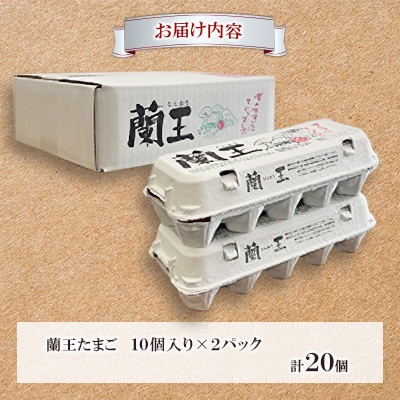 『蘭王たまご』10個入り2パック(杵築市)