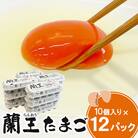 蘭王たまご　10個入り12パック(杵築市)