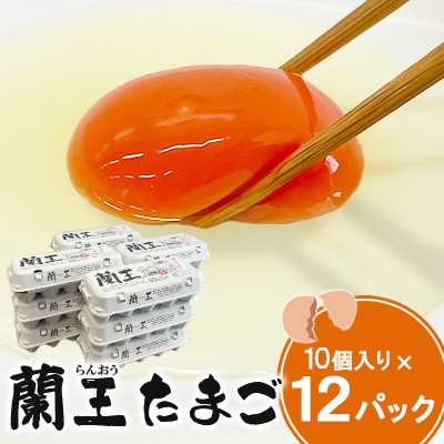 蘭王たまご 10個入り12パック(杵築市)