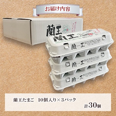 【毎月定期便】蘭王たまご 10個入り3パック(杵築市)全6回