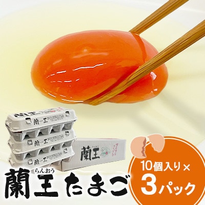 【毎月定期便】蘭王たまご 10個入り3パック(杵築市)全12回