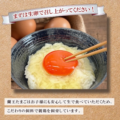 【毎月定期便】蘭王たまご 10個入り3パック(杵築市)全12回