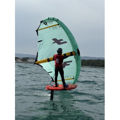 [体験チケット]ウイングフォイル 1名 レンタル 2時間 レクチャー付き〈163-009〉