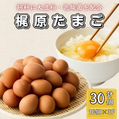 梶原たまご(計30個・10個×3P)(杵築市)