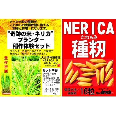 世界初　! NERICA米の新主食用米粉　(ネリカ稲作体験セット付)(杵築市)