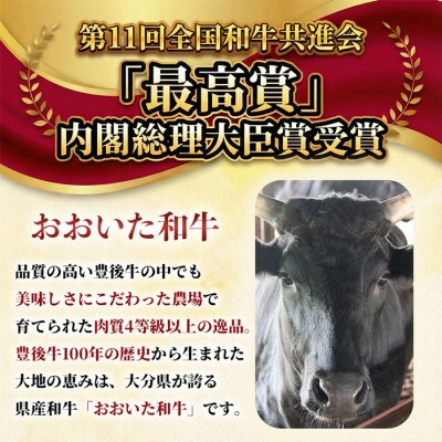 おおいた和牛切り落とし3kg(300g×10p) ※真空パック