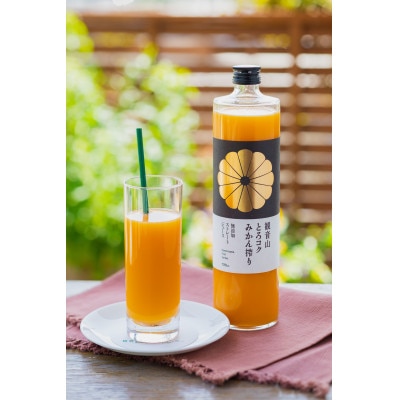 観音山みかんジュース「とろコク搾り」720ml×2本