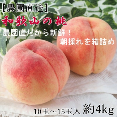 【農園直送】朝採れの和歌山の桃　約4kg・秀品　2026年度発送分