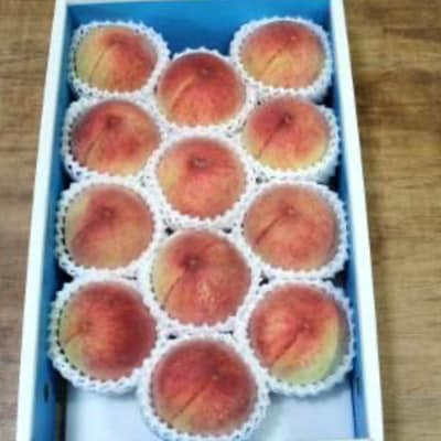 【農園直送】朝採れの和歌山の桃　約4kg・秀品　2026年度発送分