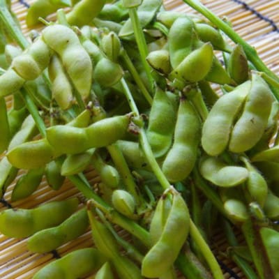 【数量限定】和歌山県産鞆渕の黒大豆枝豆200g×5袋入り